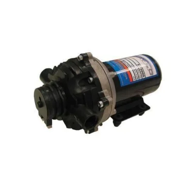 Pump Everflo 8.3lpm 60