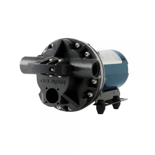 Delavan Pump 11.4L/min 60psi 1 Delavan Pump 11.4L/min 60psi