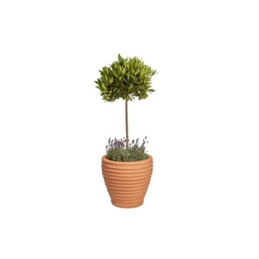 extra large moroccan terracotta planter 58cm