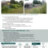 Garlon Ultra 1 Litre Herbicide 5 garlon ultra brochure s2 clarkes of cavan