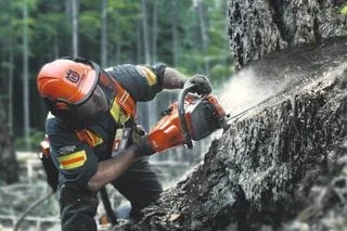 Husqvarna 562 XP 18" Chainsaw 8 Chainsaw 576 XP
