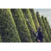 husqvarna 520iht4 battery telescopic pole hedge trimmer 15