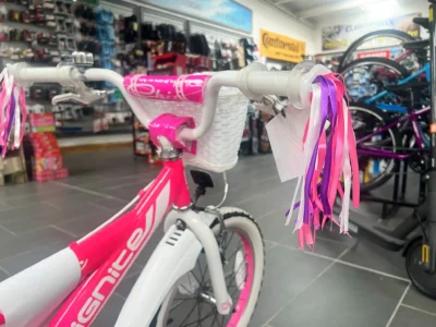 ignite chic bike clarkes of cavan 6