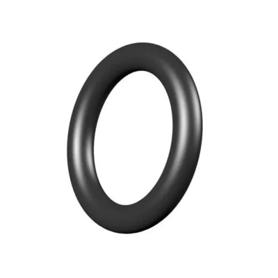 Karcher O Ring