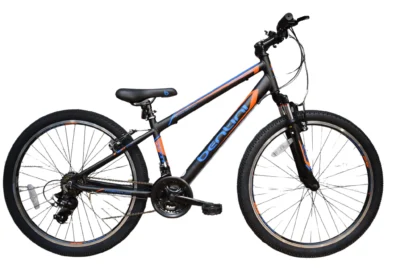 Bentini Phoenix 26" Mountain Bike
