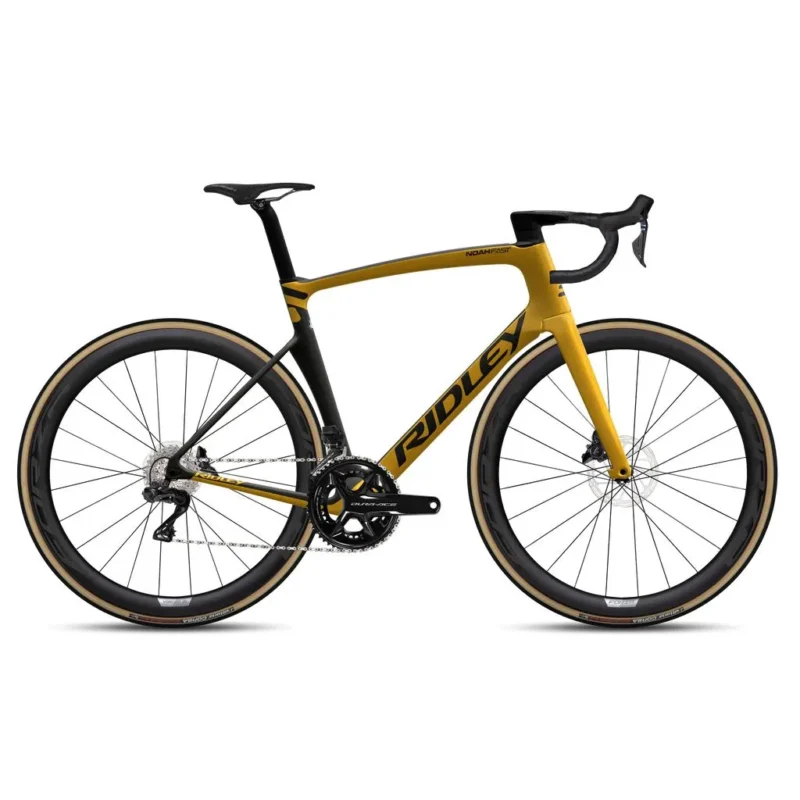 ridley noah fast gold