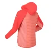 Regatta Women's Andreson VI Hybrid Insulated Quilted Jacket Coral 8 rwn204fbn07bynderdefinedtypeproduct021653829278