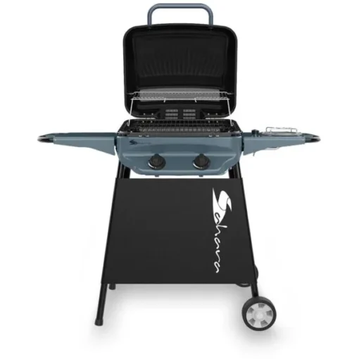 sahar rapid assembly 2 burner plus gas bbq