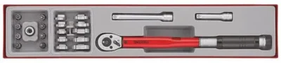 TengTool Torque Wrench Set 3/8" 22Pieces