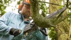 universalchain 35 100053327 hires png rgb oneux 331579w360h202 clarkes of cavan