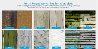 wet forget 11