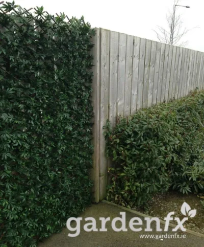 www.gardenfx.ie Evergreen Artificial Hedge on Willow Trellis 1