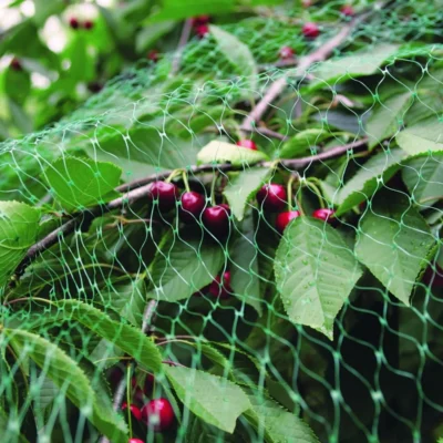 benson garden net green mono 5 x 4 metres 4