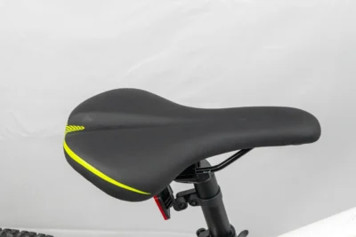 ecobike sx3 9 scaled