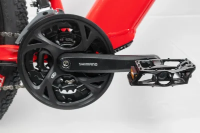 ecobike sx4 4 scaled
