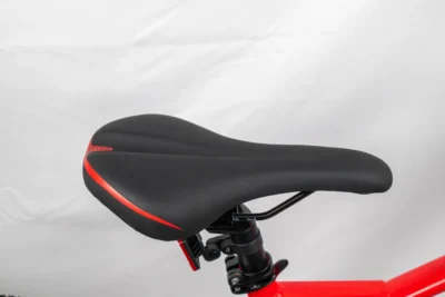 ecobike sx4 7 scaled