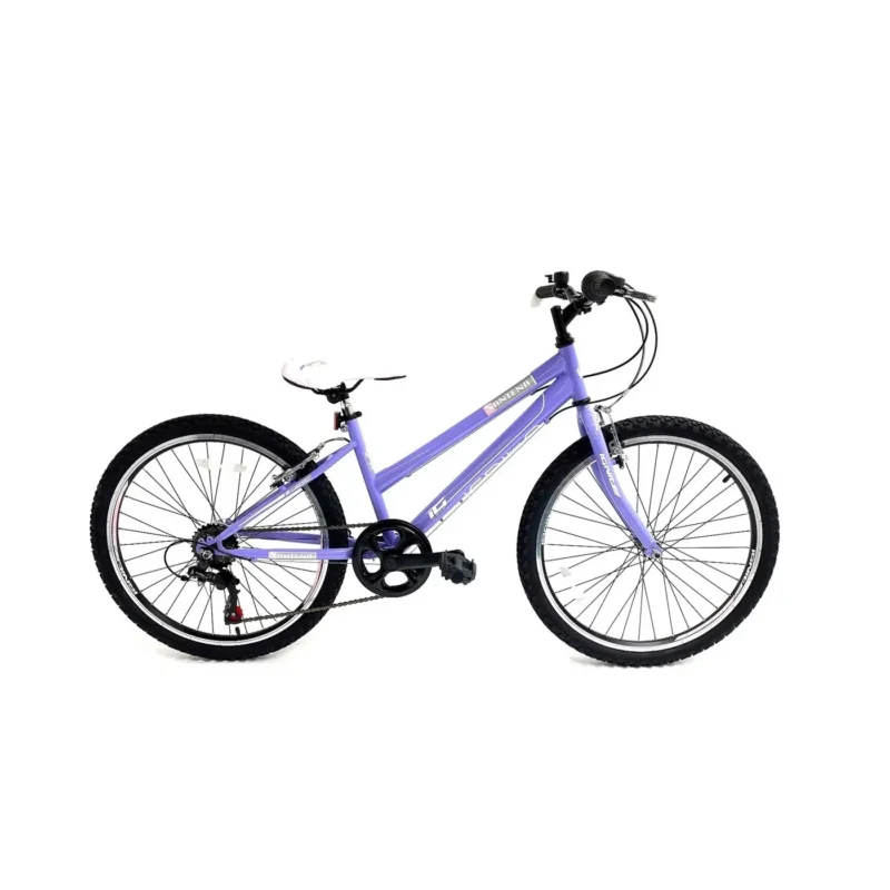 ignite santena 24 junior bike