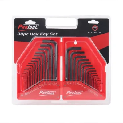 Protool 30-Piece Hex Key Set in Case.