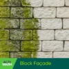 Actiwash Domestic 5L Biocide – Removes Red & Green Algae, Mould & Fungi 12 blockfacade1800x1800