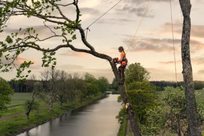 husqvarna t540 xp mark iii 3