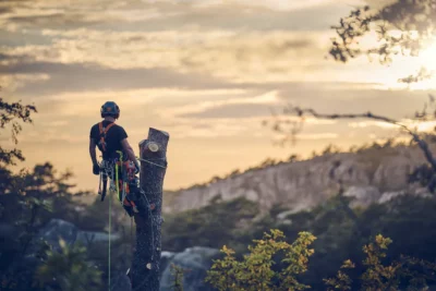 husqvarna t540 xp mark iii 4